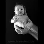 thumbnail of Item 15 Title