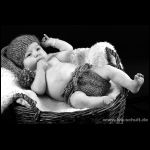 thumbnail of Item 18 Title