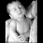 thumbnail of Item 29 Title