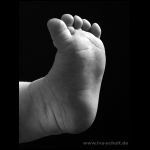 thumbnail of Item 34 Title