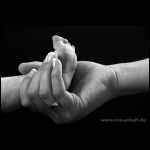 thumbnail of Item 35 Title